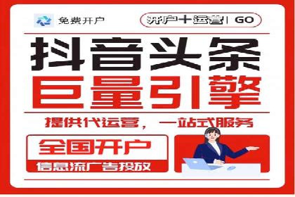 案例解读：网络推广与竞价策略